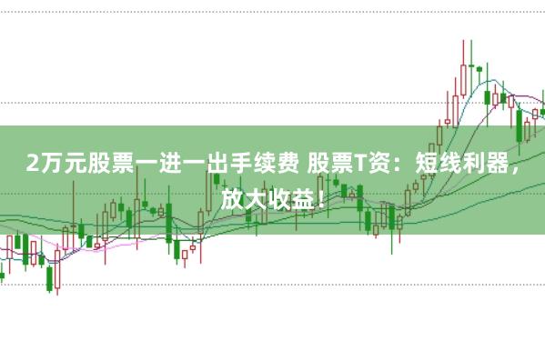 2万元股票一进一出手续费 股票T资：短线利器，放大收益！