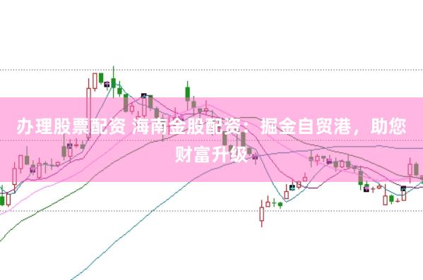 办理股票配资 海南金股配资：掘金自贸港，助您财富升级
