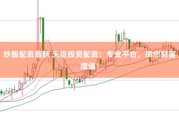 炒股配资最新 天臣投资配资：专业平台，助您财富增值！