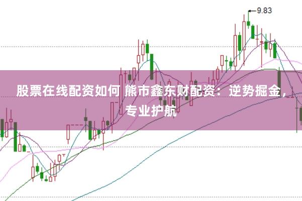 股票在线配资如何 熊市鑫东财配资：逆势掘金，专业护航