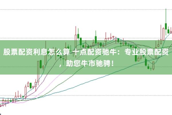 股票配资利息怎么算 十点配资驰牛：专业股票配资，助您牛市驰骋！