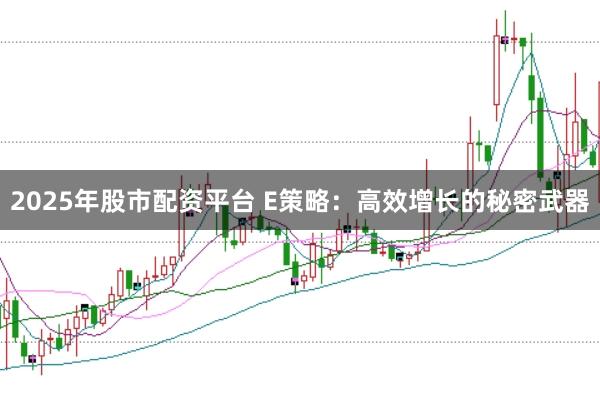 2025年股市配资平台 E策略：高效增长的秘密武器