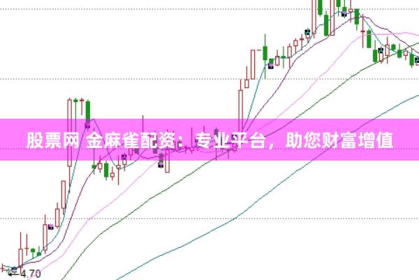 股票网 金麻雀配资：专业平台，助您财富增值