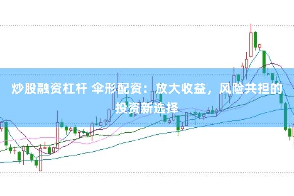 炒股融资杠杆 伞形配资：放大收益，风险共担的投资新选择