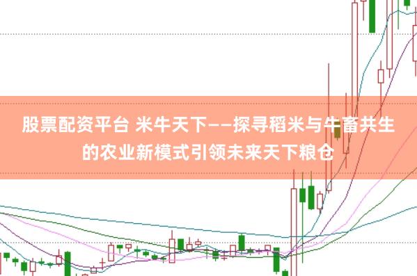 股票配资平台 米牛天下——探寻稻米与牛畜共生的农业新模式引领未来天下粮仓