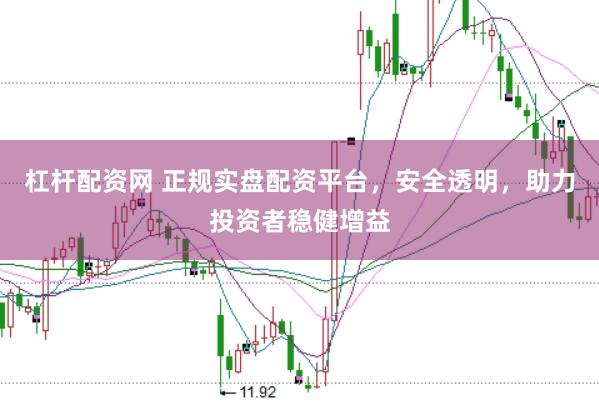 杠杆配资网 正规实盘配资平台,安全透明,助力投资者稳健增益